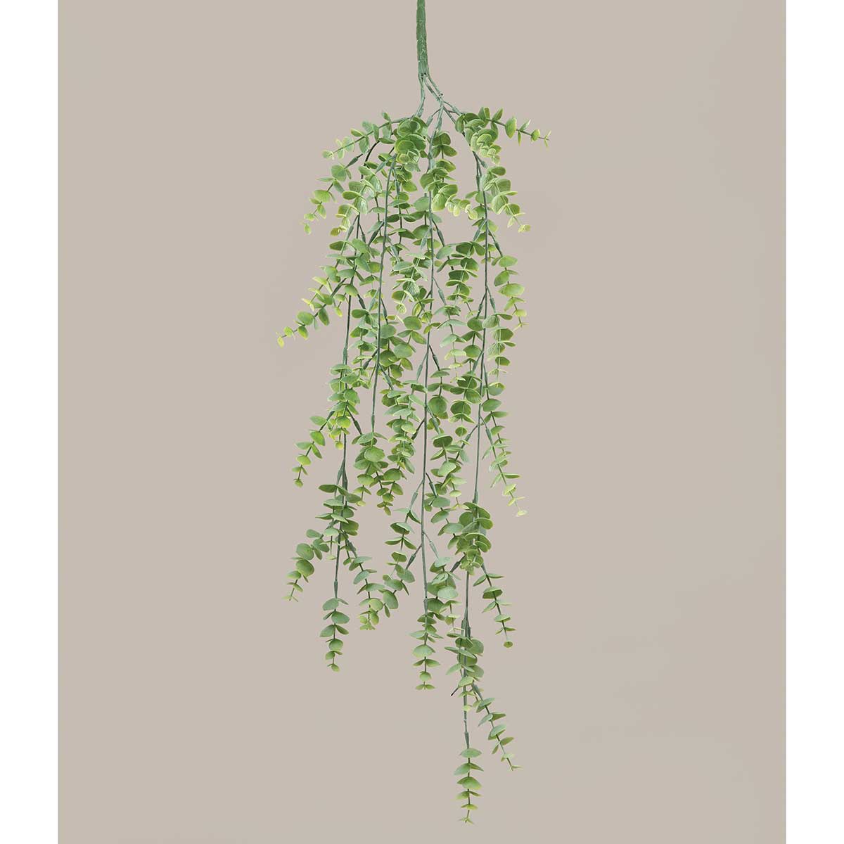 BUSH WEEPING EUCALYPTUS 4IN X 29.5IN GREY - Click Image to Close