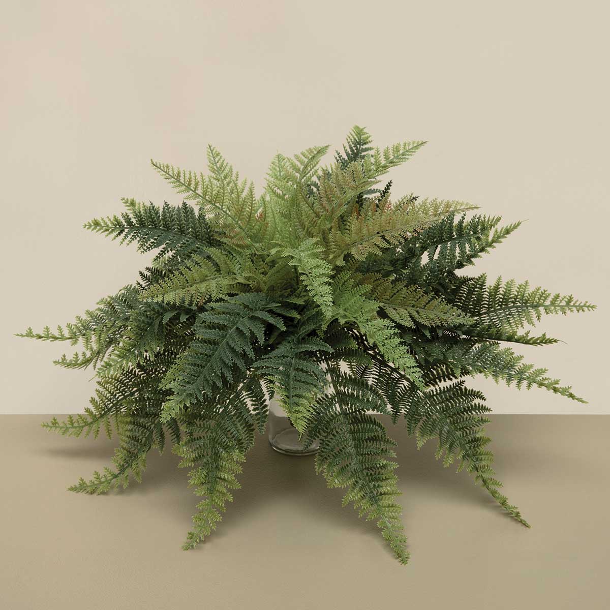 FERN LADY 24IN X 16IN GREEN - Click Image to Close