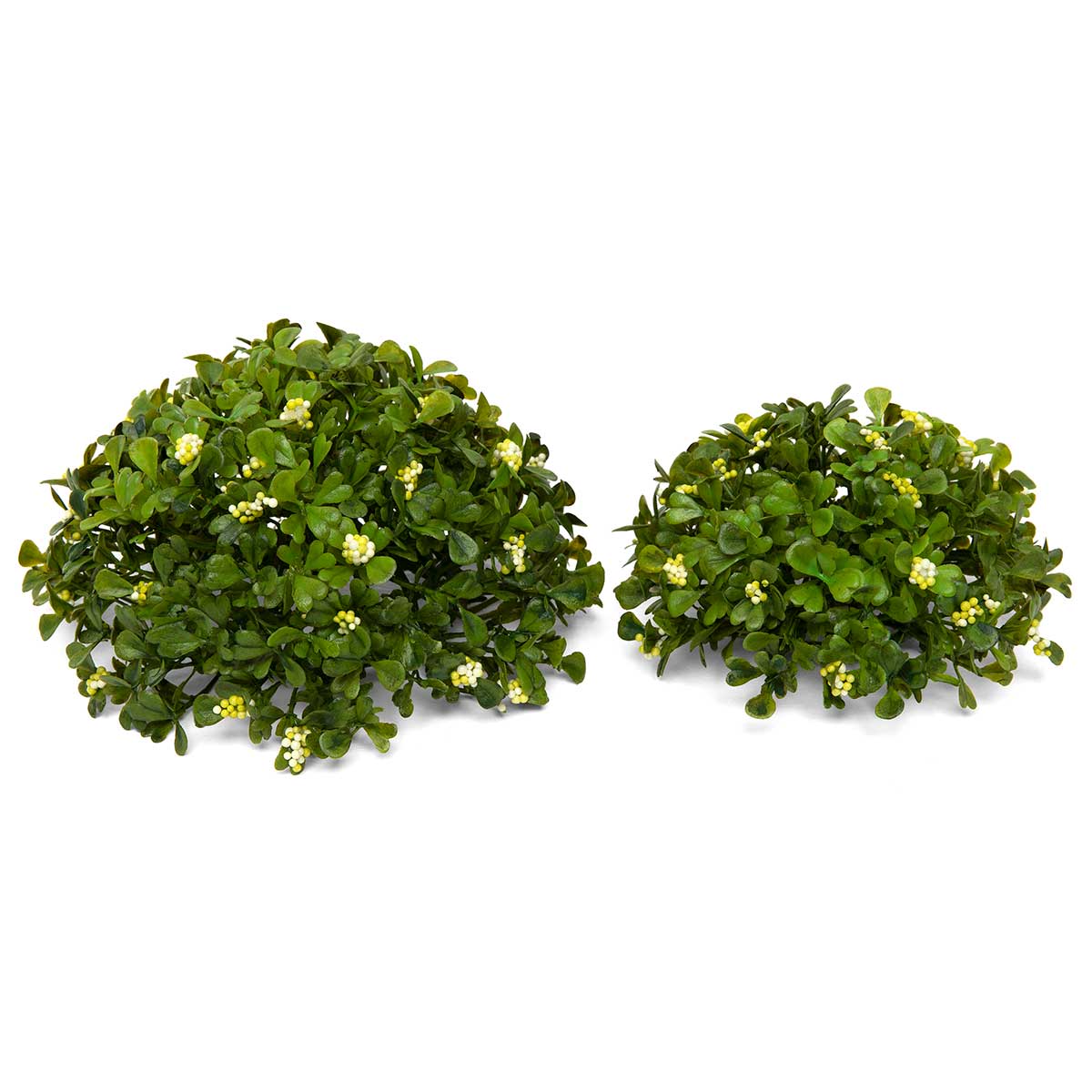 DOME BOXWOOD WITH BERRIES SMALL 5IN X 2.5IN GREEN/WHITE