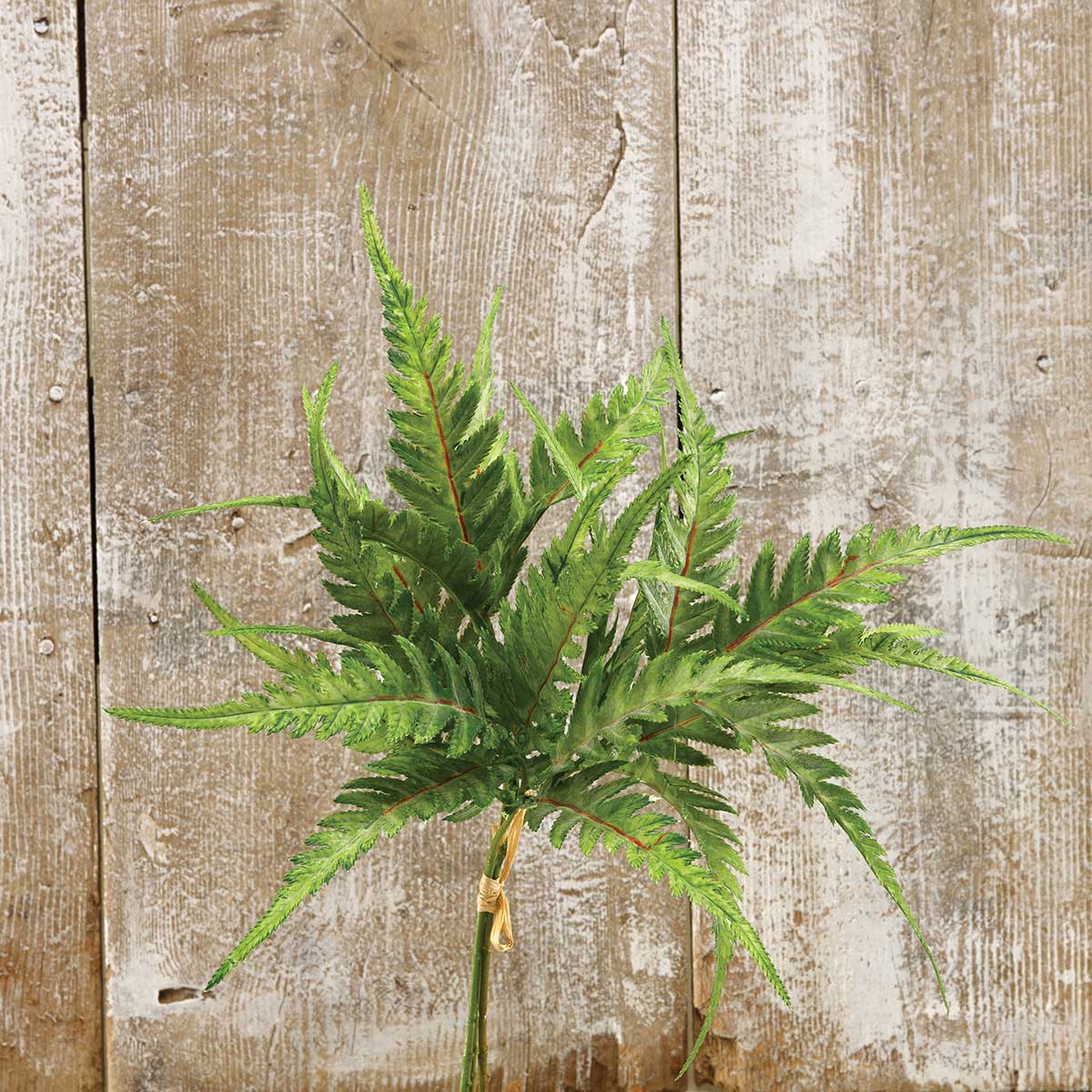 BUNDLE OF 3 FERN 11IN X 17IN GREEN - Click Image to Close
