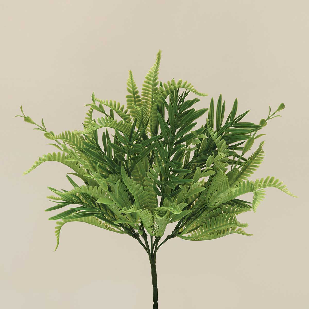 BUSH ROSEMARY/FERN 8IN X 11IN - Click Image to Close