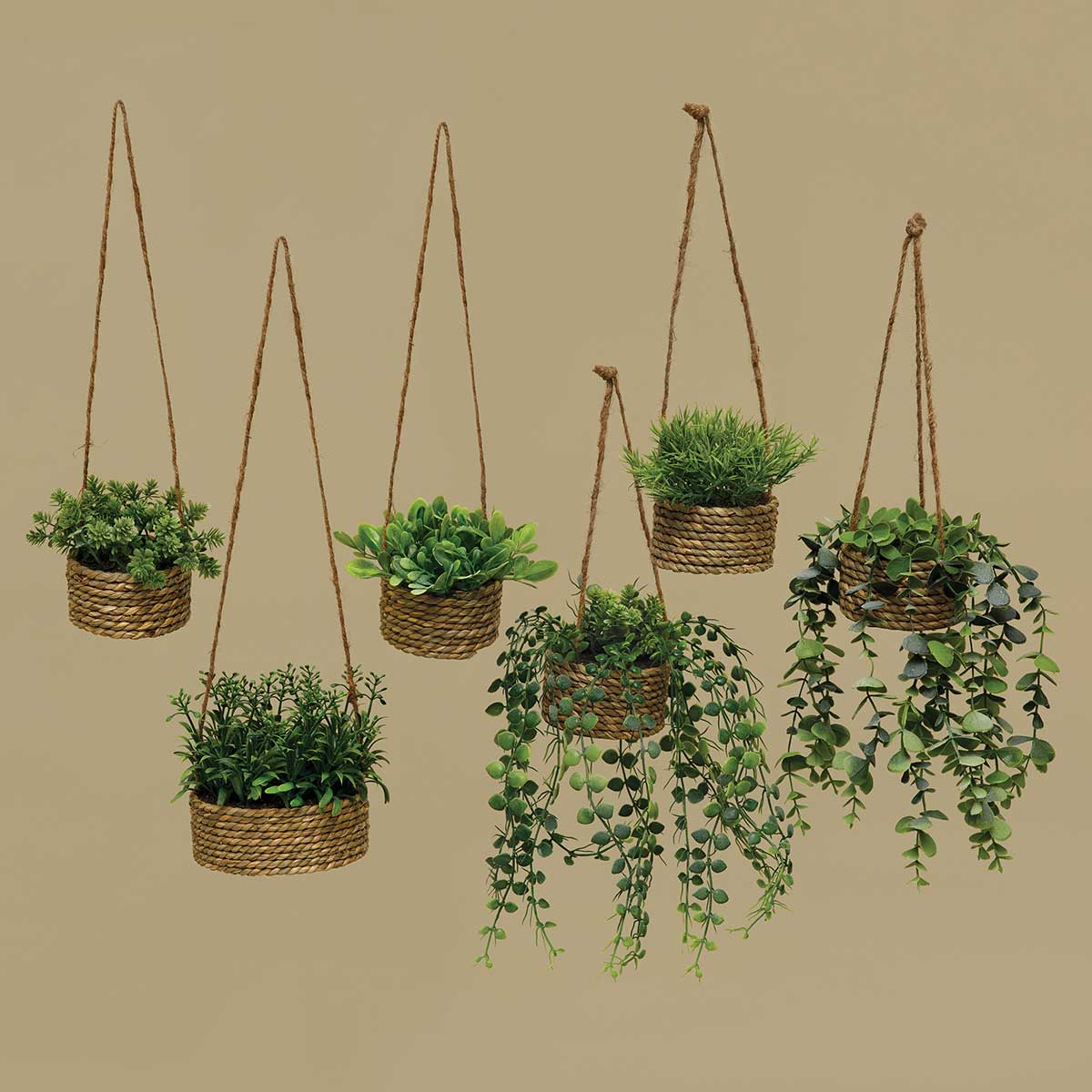 ROSEMARY IN BASKET 5IN X 4.5IN WITH TWINE HANGER - Click Image to Close