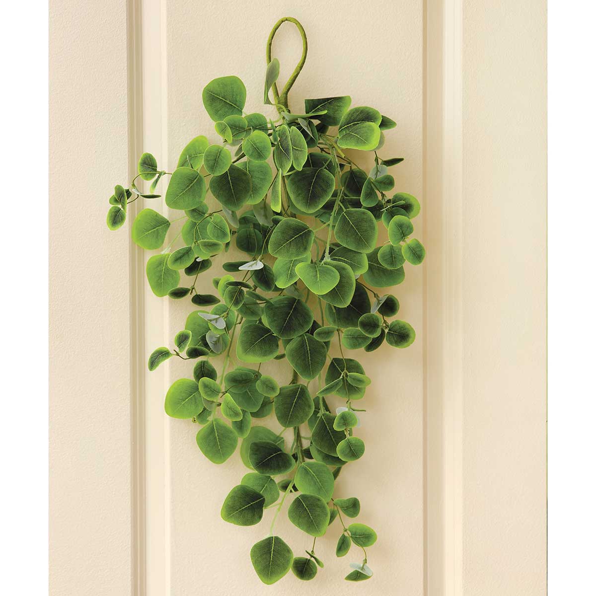 b50 BOUGH SILVER DOLLAR EUCALYPTUS 19IN X 28IN GREEN - Click Image to Close