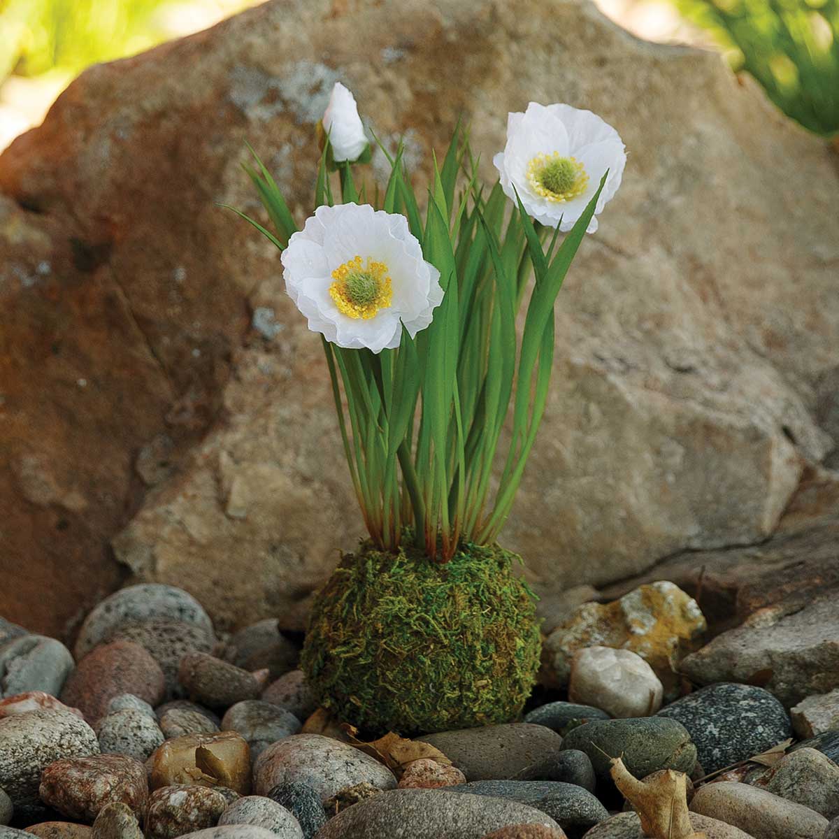 POPPY ON FAUX DIRT WHITE 5IN X 8.5IN POLYESTER/PLASTIC - Click Image to Close