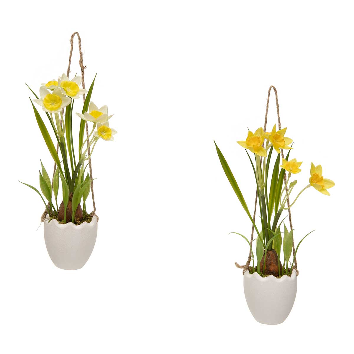 YELLOW DAFFODIL IN WHITE EGG POT 2IN X 9IN (1IN HEAD) - Click Image to Close