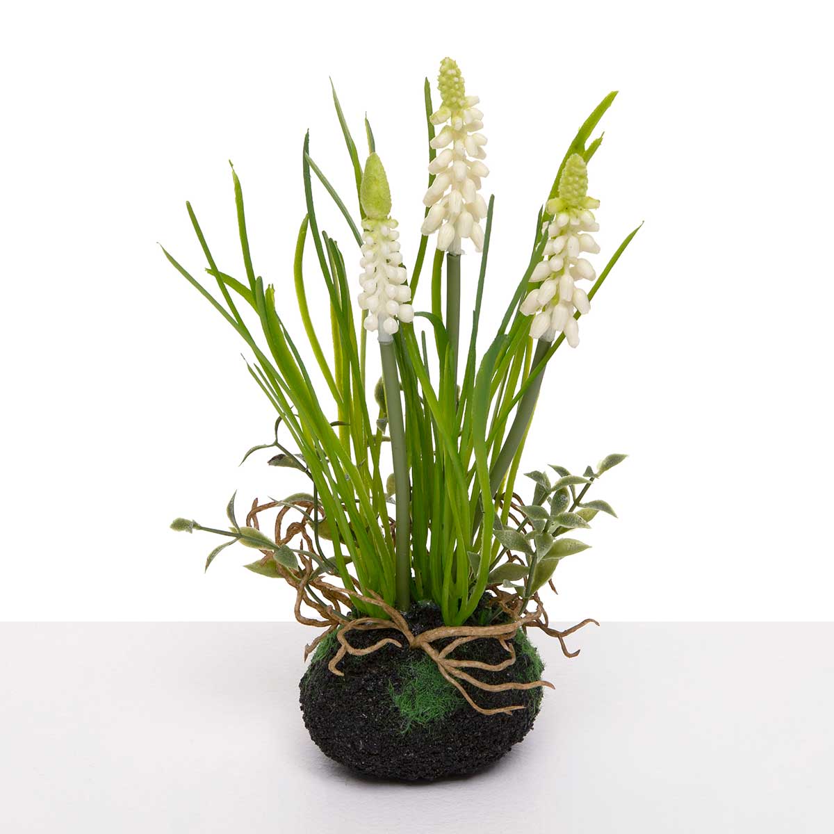 WHITE GRAPE HYACINTH WITH 4IN X 8IN (2IN HEAD) - Click Image to Close