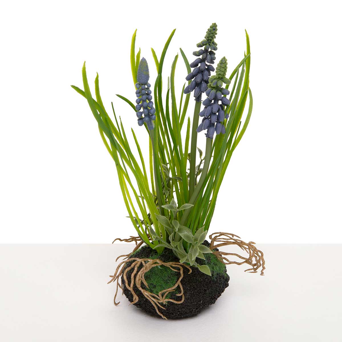 BLUE GRAPE HYACINTH WITH 4IN X 8IN (2IN HEAD)