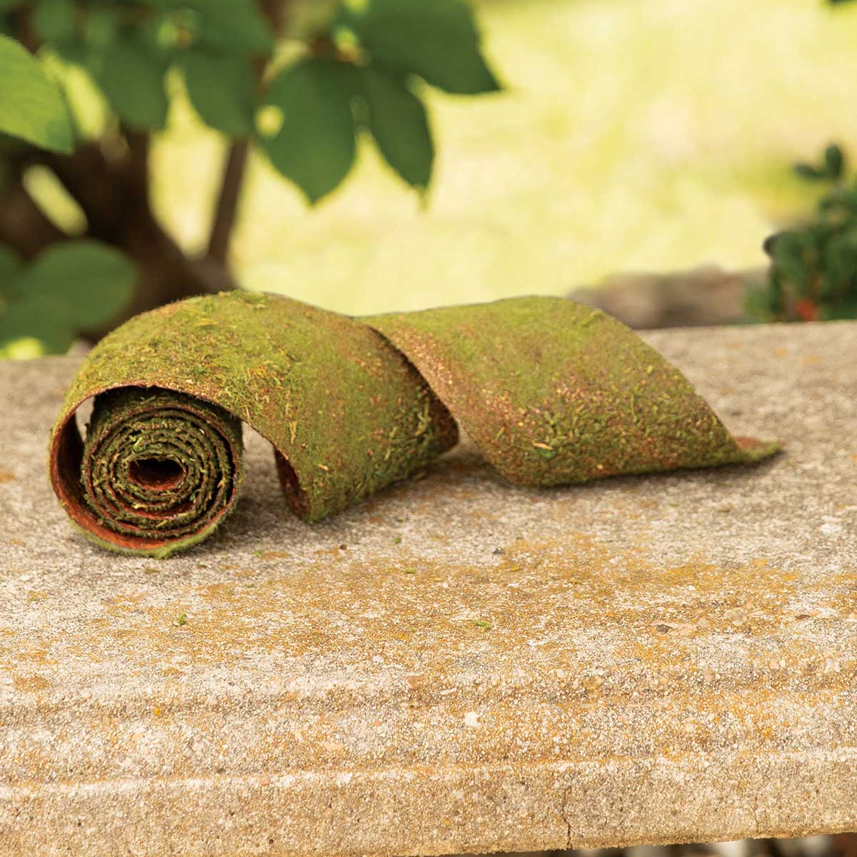 MOSS RIBBON ROLL 3IN X 48IN - Click Image to Close