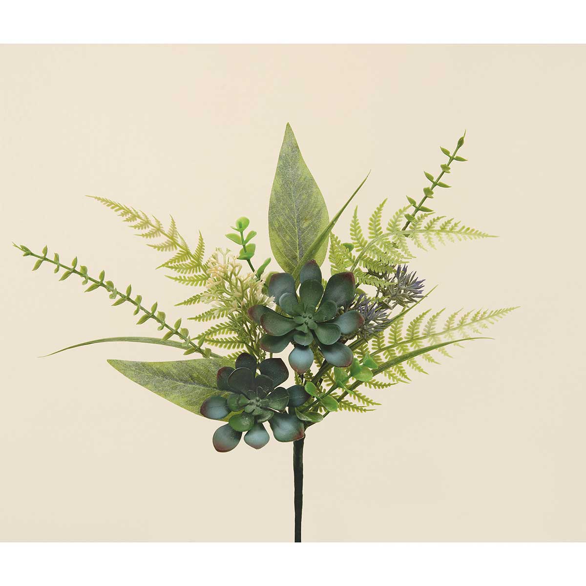 PIK SUCCULENT WITH FOLIAGE 11IN X 13IN - Click Image to Close