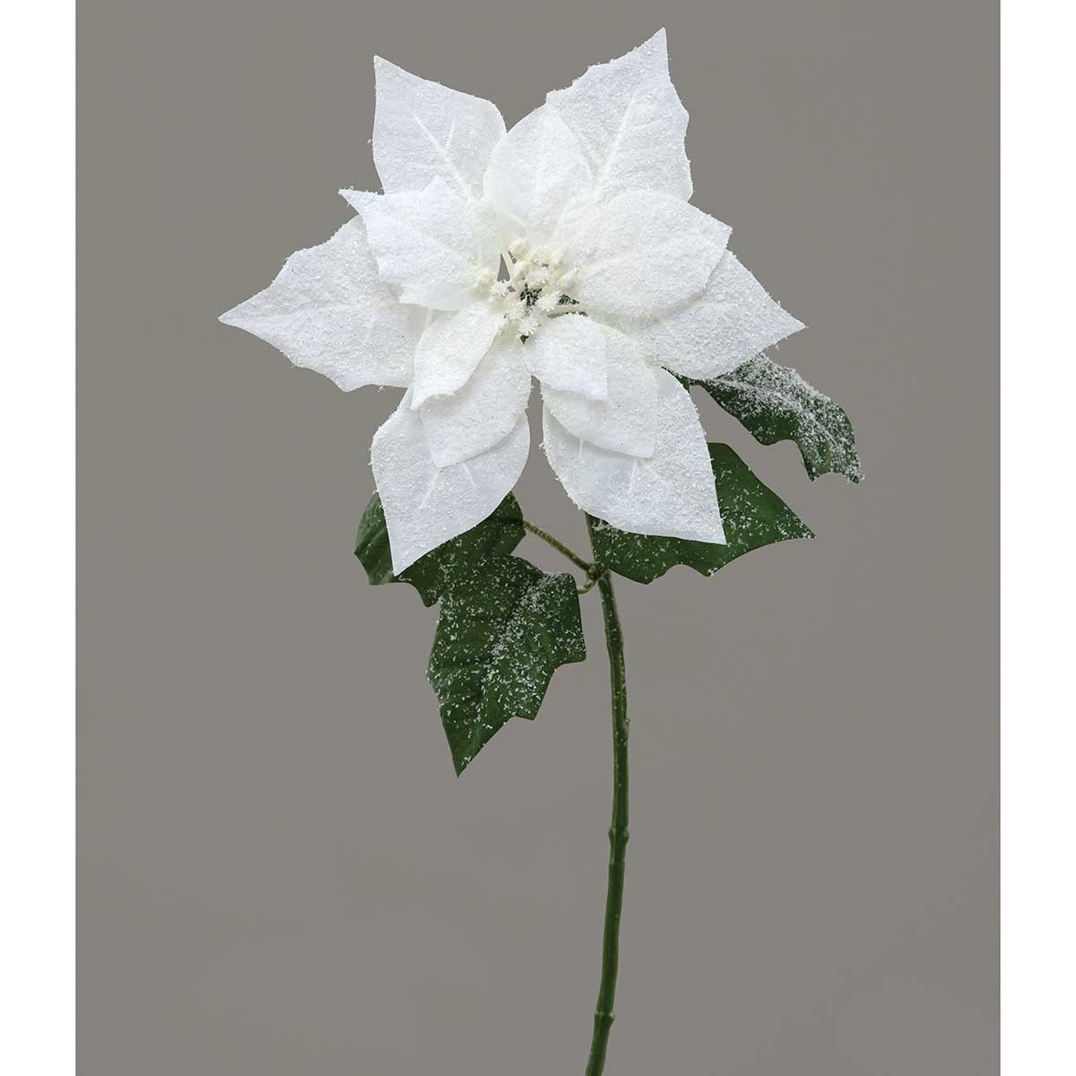 STEM SNOWY POINSETTIA 8IN X 24IN WHITE - Click Image to Close