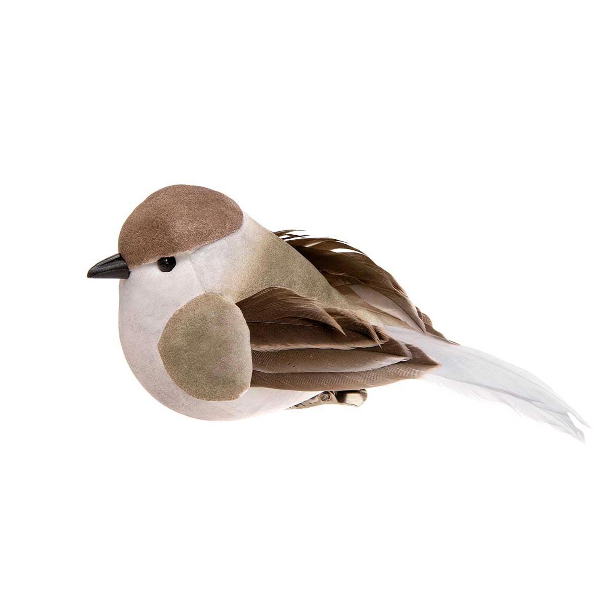BIRD ROBIN 4IN X 1.75IN X 2IN BROWN/CREAM FEATHER/FOAM WITH CLIP - Click Image to Close