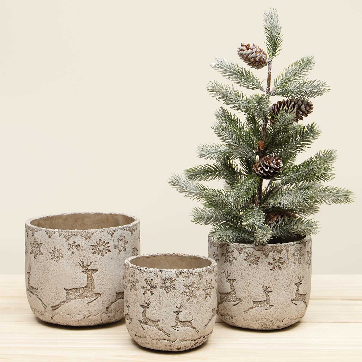 SPRUCE PINE TREE IN BURLAP BASE WITH SNOW AND PINECONES
