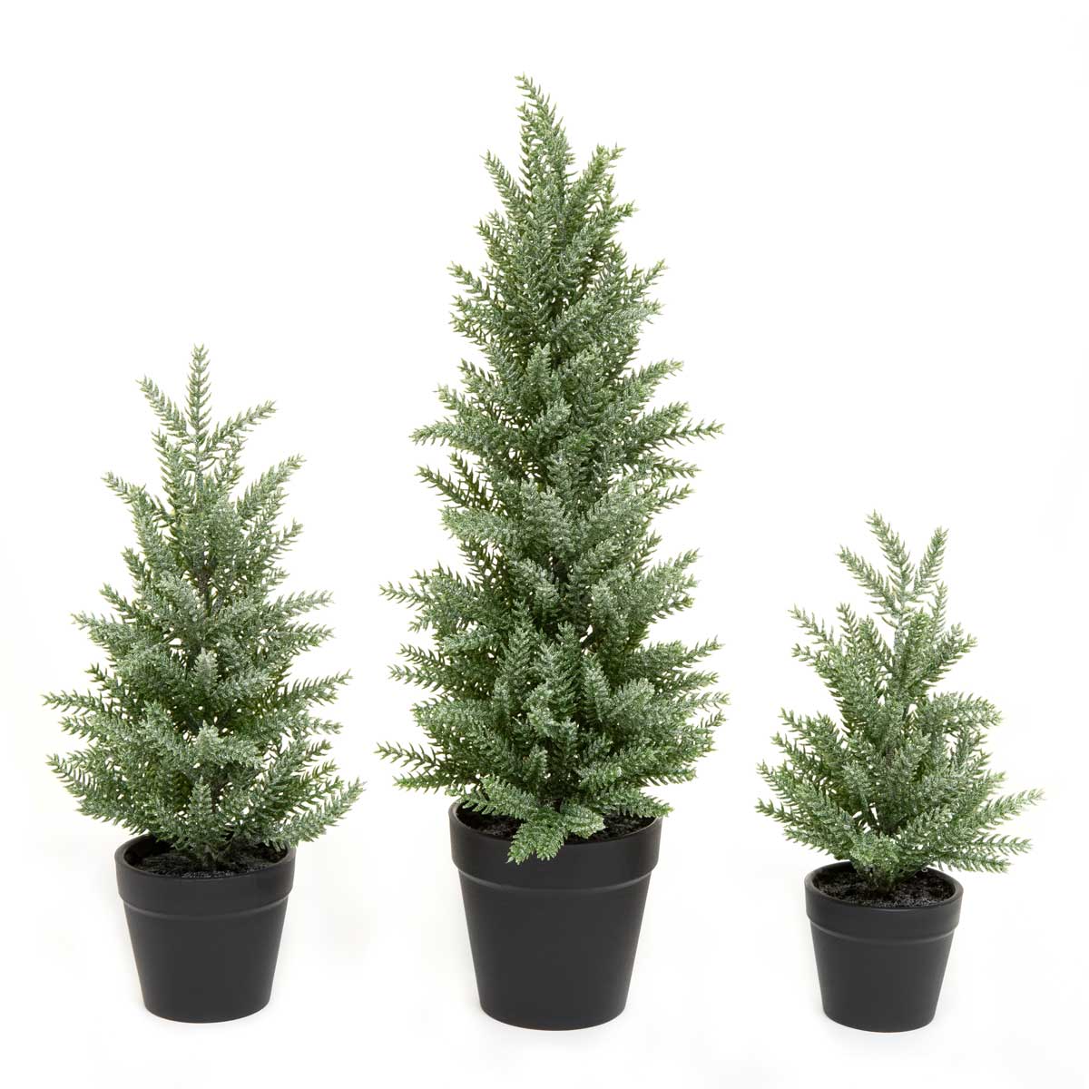 TREE PINE FROSTED SMALL 5IN X 9IN IN BLACK POT PLASTIC