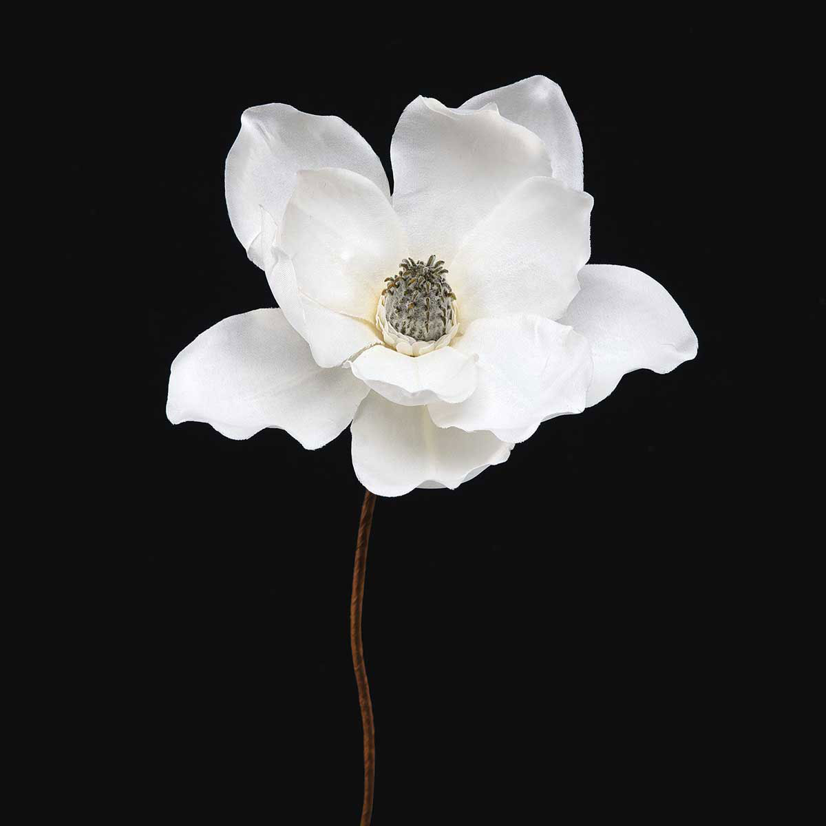 STEM SOUTHERN MAGNOLIA 6IN X 12IN WHITE - Click Image to Close