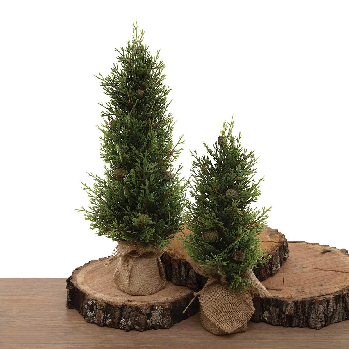 TREE CEDAR PINE SMALL 7IN X 14IN IN BURLAP BASE - Click Image to Close